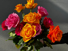 Assorted Roses Vibrant