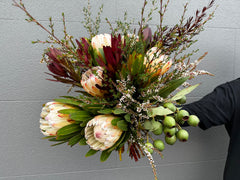 Natives with Proteas and Gum Nuts